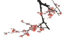 梅花装饰