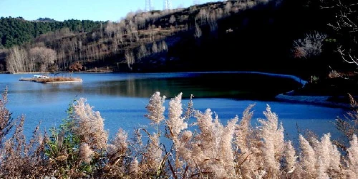 四十年后重返魂牵梦绕的焦坪